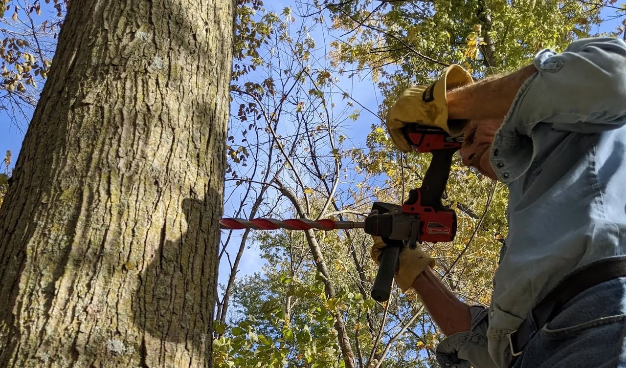 Drilling a hole all the way through our first support tree