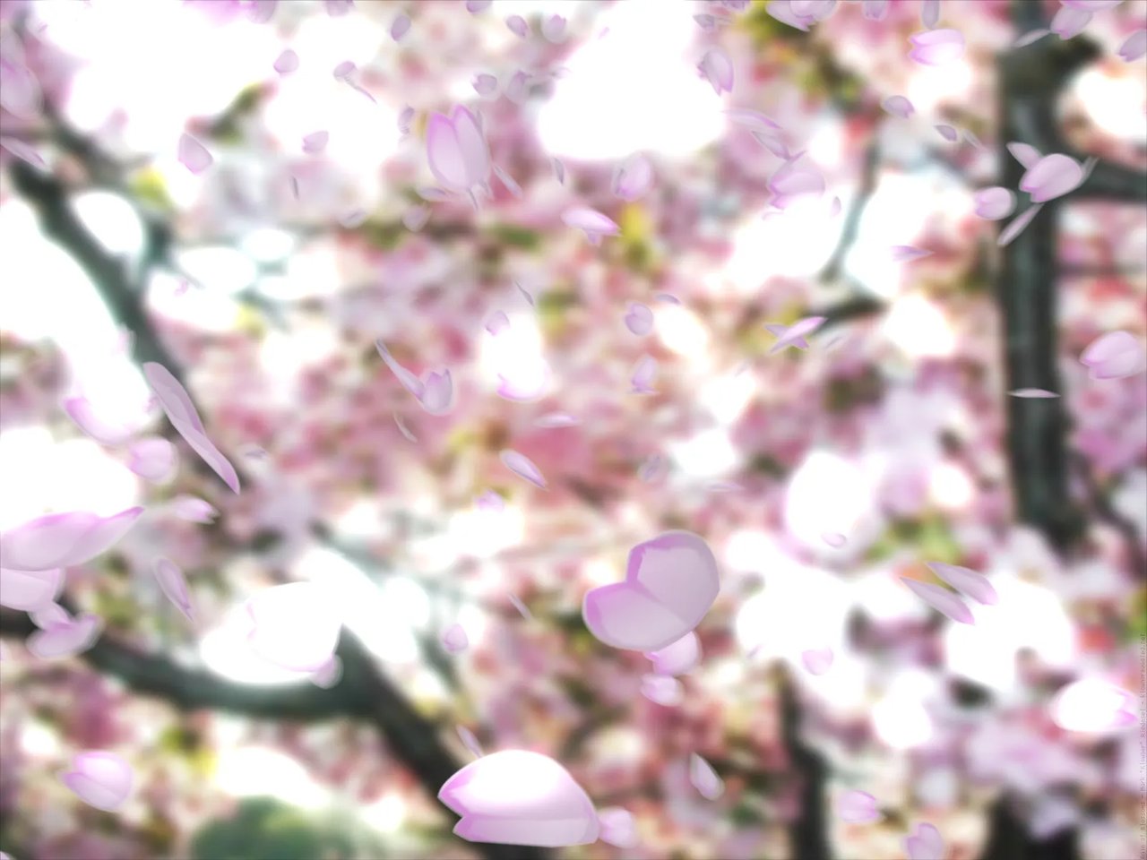 thumbnail of Rain of Blossoms