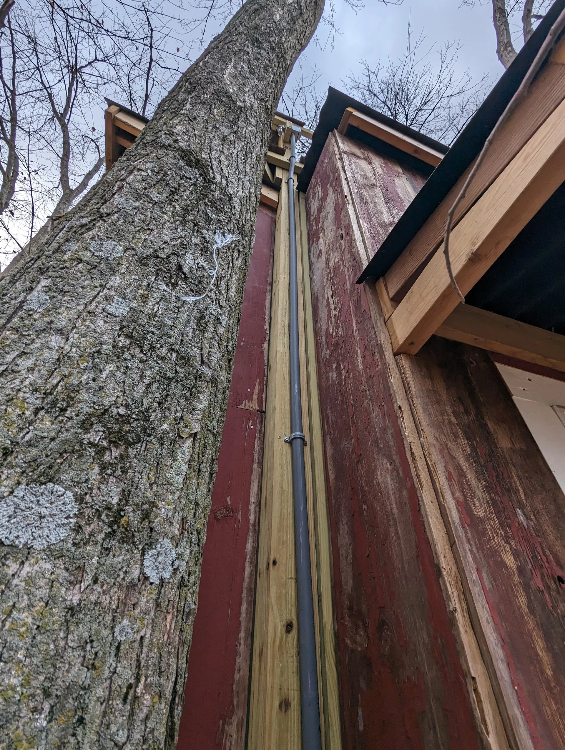 Conduit goes up to the loft