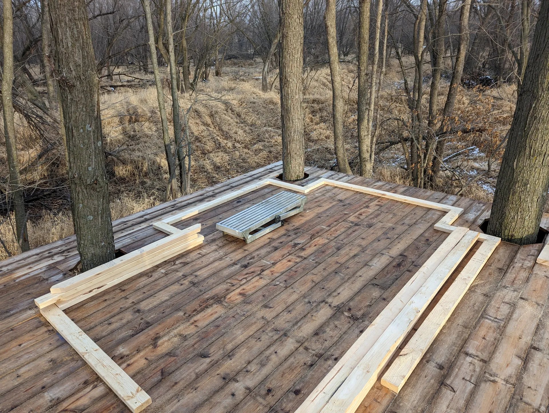 2x4s show the planned footprint of the treehouse cabin