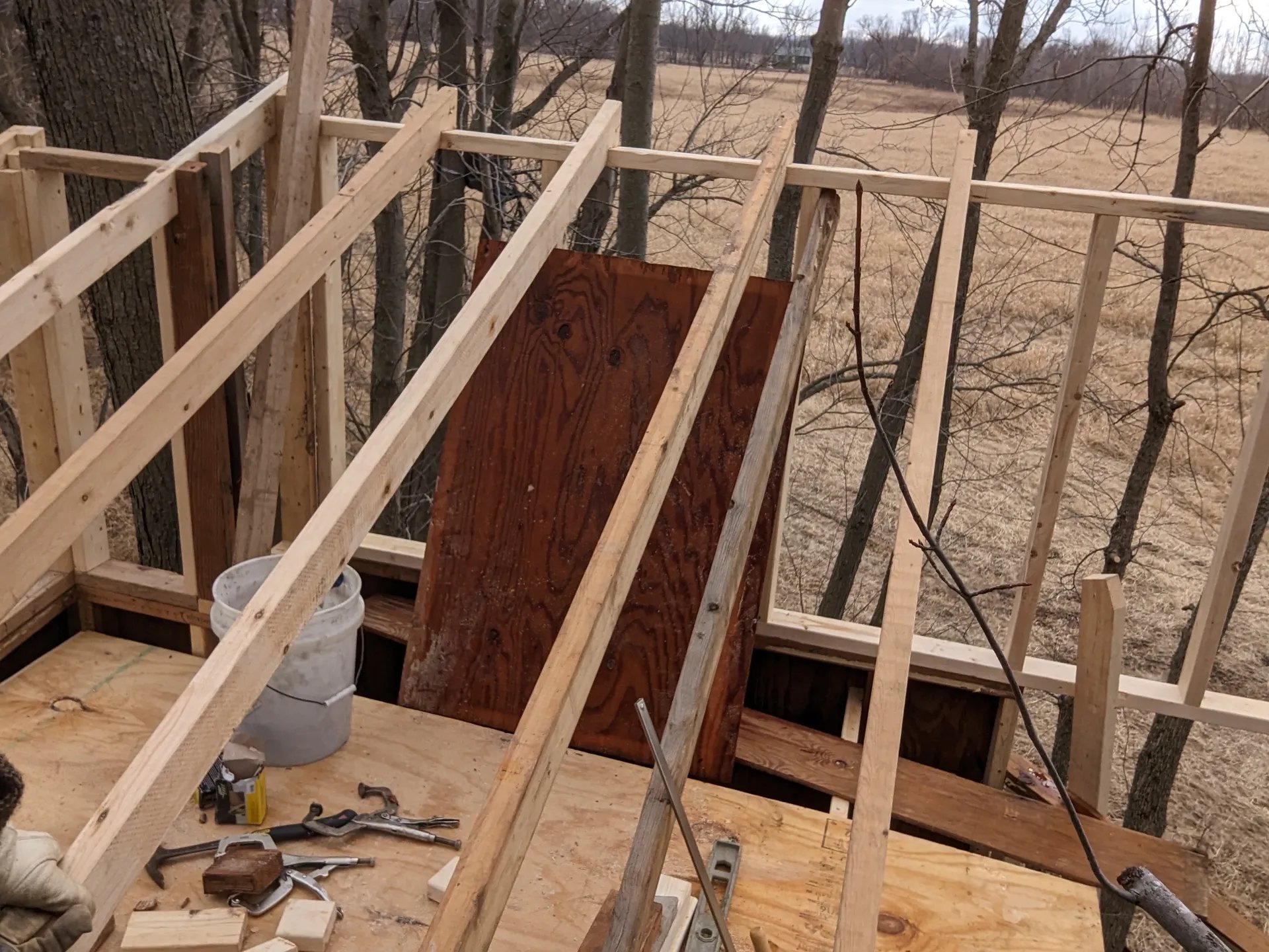 Rafters above the loft