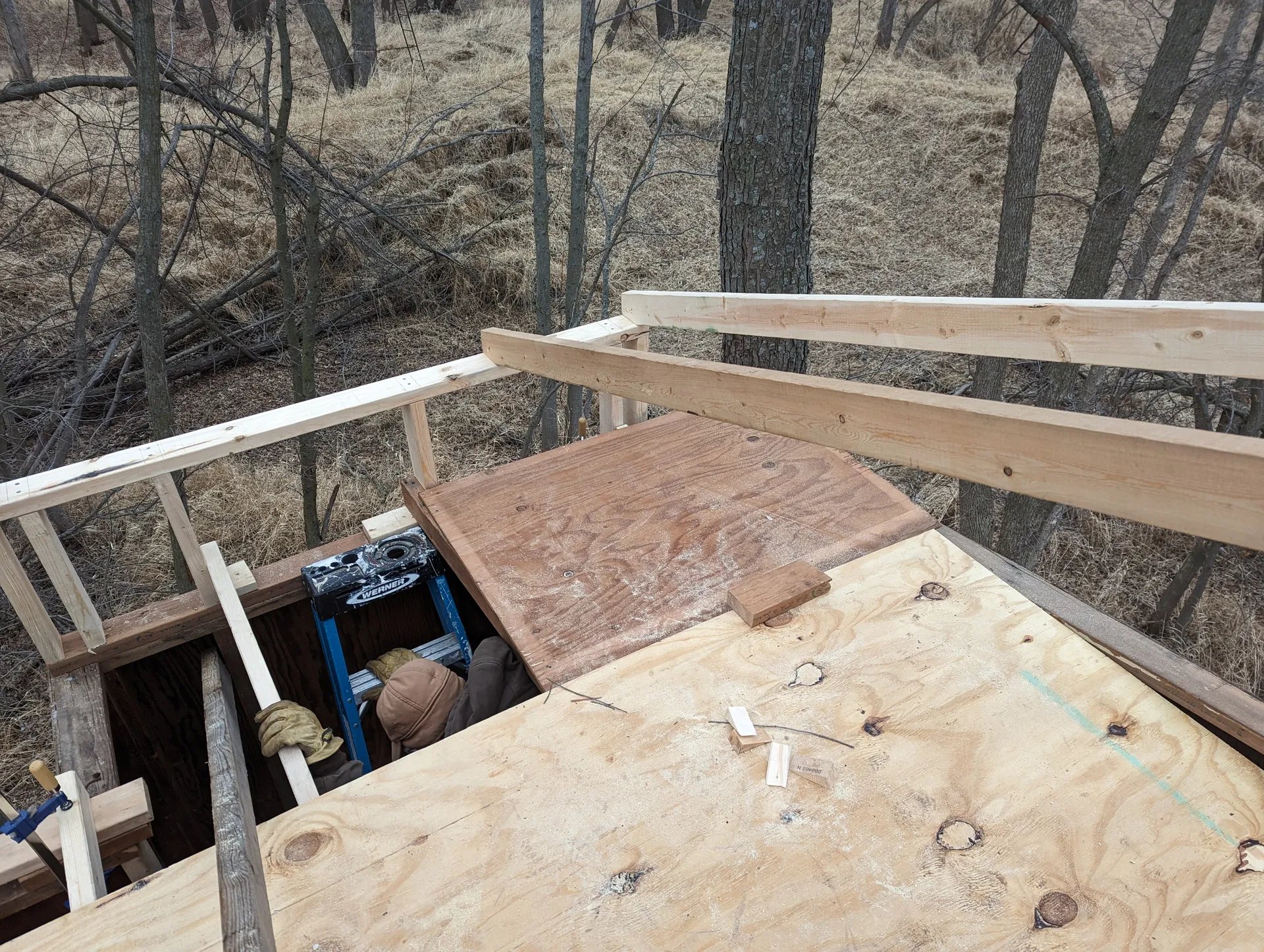 Ceiling rafters which will support the roof