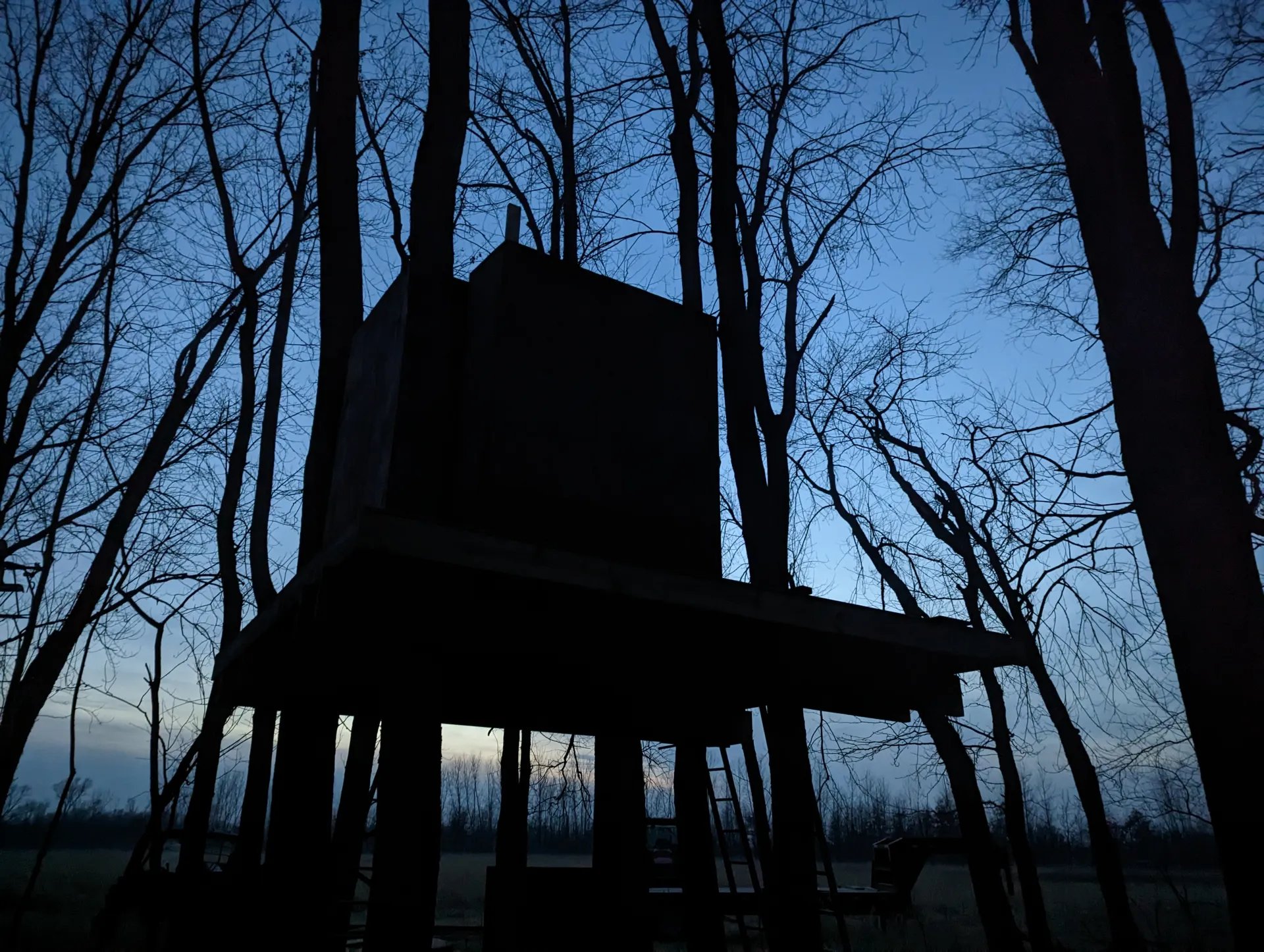 A view from below the treehouse looking upward showing the silhouette of the first wall sections