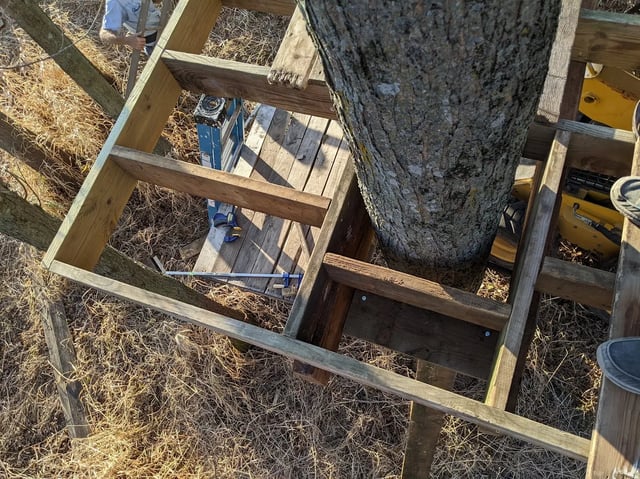 Framing around the tree trunks