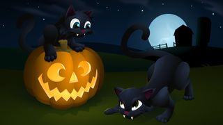 thumbnail of Halloween Kitties 2010