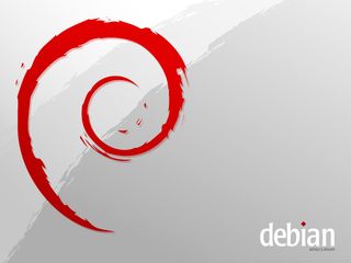 thumbnail of "The Swirl of Debian (Platinum)"