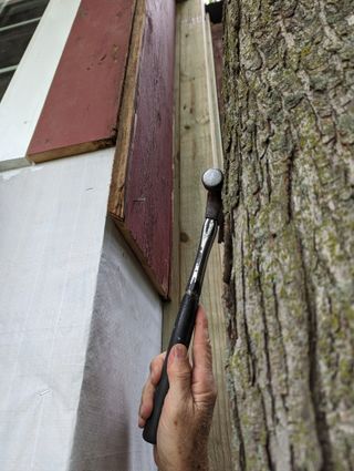Hammering nails is a challenge when there's a tree 5" away
